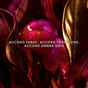 Absolus Allegoria Tabac Sahara - Eau de Parfum